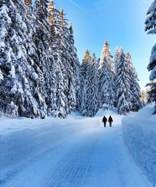 Escursionisti con le ciaspole su una strada innevata - Seefeld-Wildmoos - Tirolo - Austria