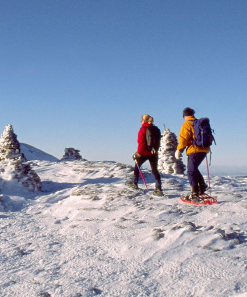 Escursionisti con le ciaspole sull’altopiano innevato di Font d’Urle - Vercors - Francia
