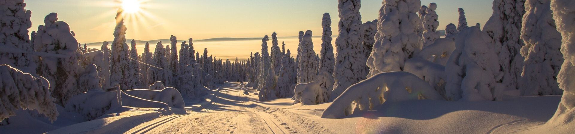 Viaggio di sci di fondo e sci escursionistico nordico in Lapponia nel 2026