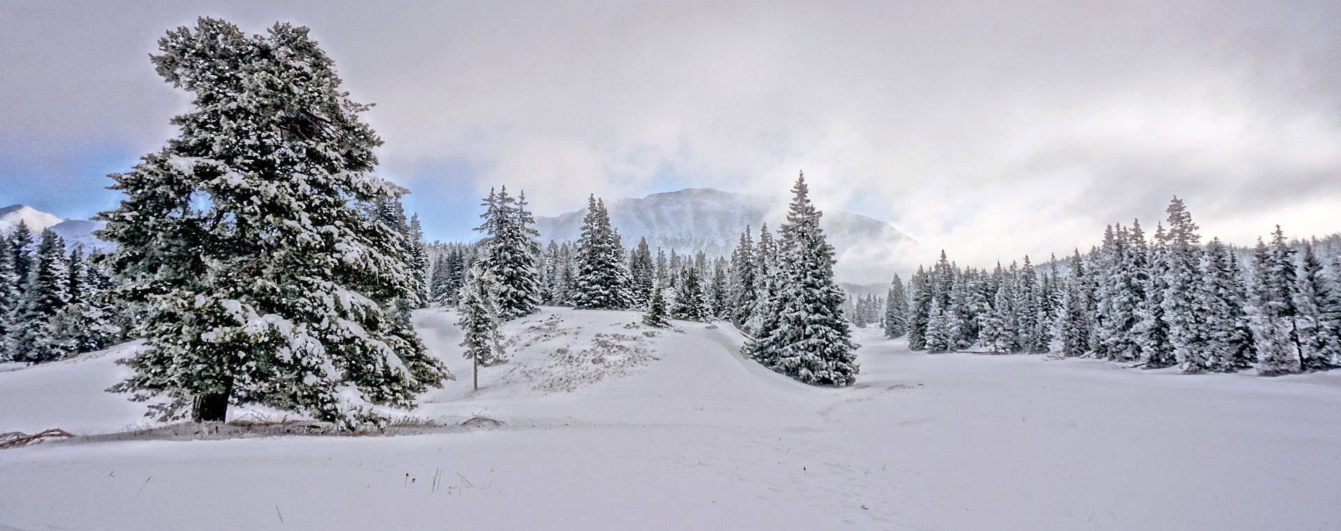 Paesaggio innevato - Hauts Plateaux du Vercors - Francia