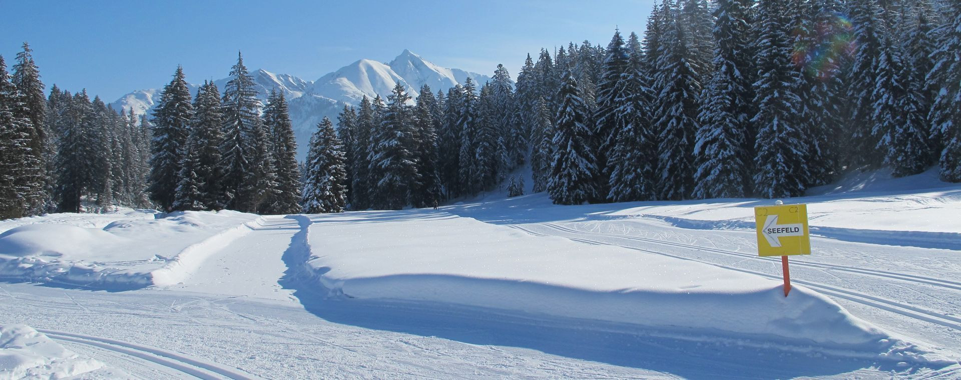 Paesaggio innevato del comprensorio sciistico di Leutasch - Tirolo - Austria
