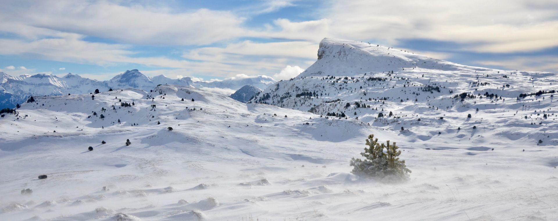 Paesaggio innevato della riserva degli Hauts Plateaux - Vercors - Francia