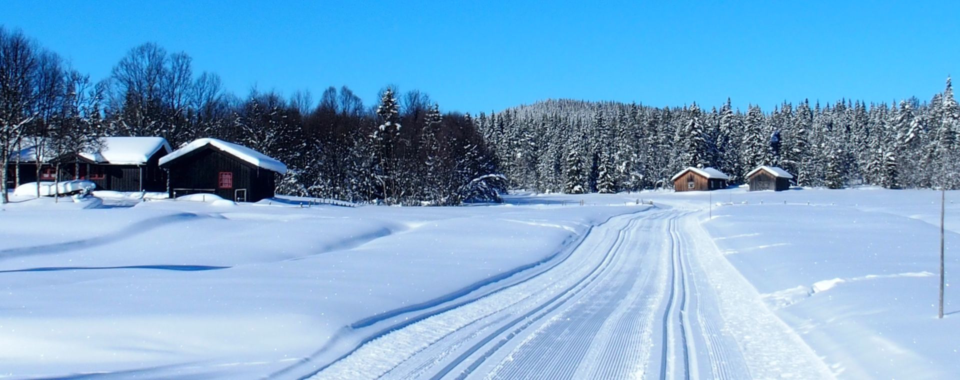 Paesaggio innevato sul Golsfjellet - Norvegia