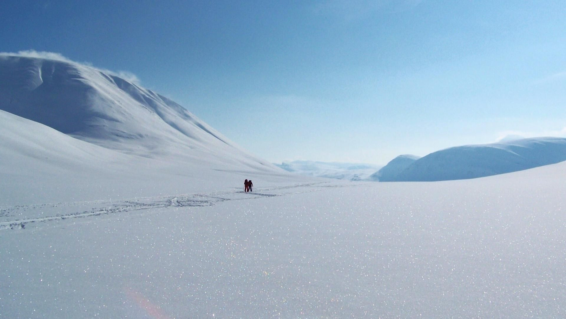 Neve scintillante sul Kungsleden - paesaggio polare - Lapponia svedese