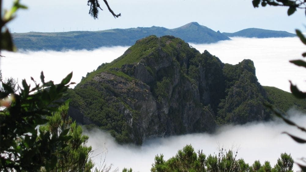 Vetta che emerge sopra un mare di nuvole - Madeira - Portogallo