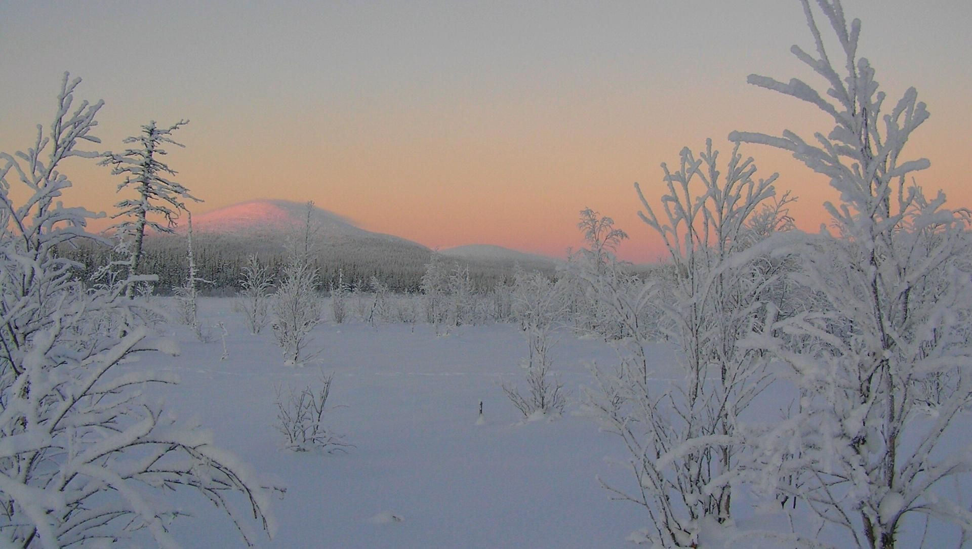 Alba su un paesaggio innevato della Lapponia - Finlandia