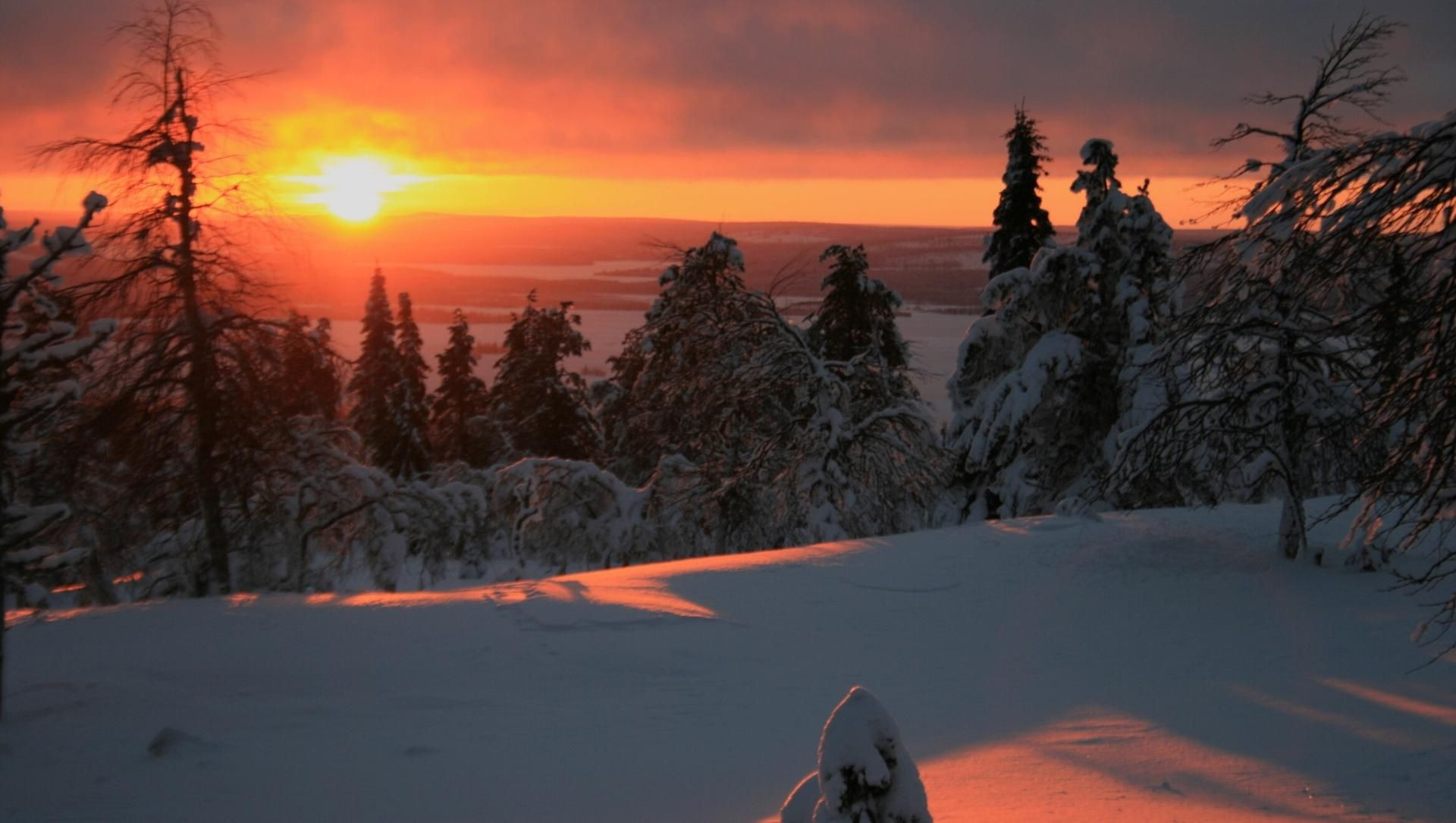 Tramonto sulla foresta innevata - Lapponia - Finlandia
