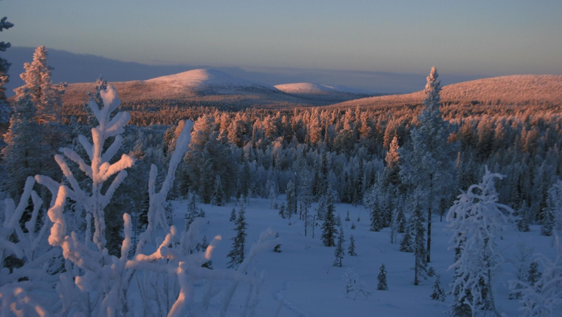 Tramonto su un paesaggio lappone in inverno - Finlandia