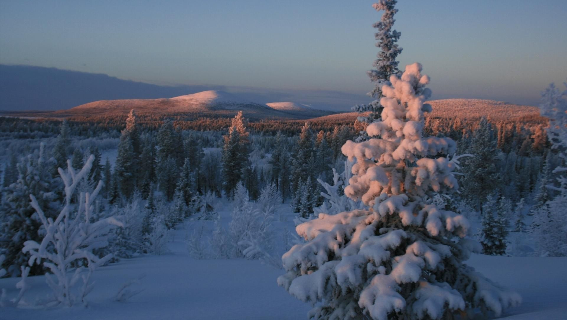Tramonto su un paesaggio lappone in inverno - Lapponia - Finlandia