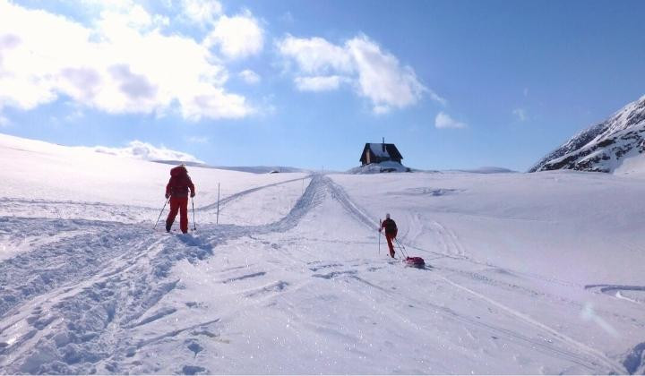 Sci alpinisti nordici con pulka verso un rifugio - Kungsleden - Lapponia - Svezia