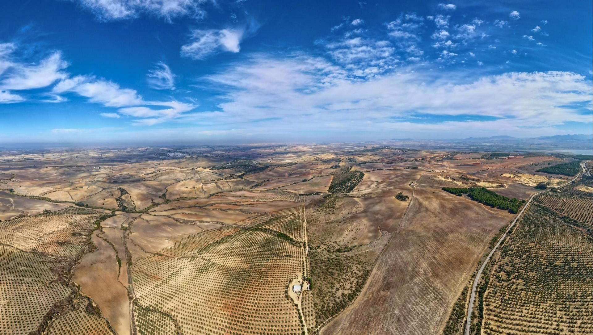 Campagna e uliveti vicino ad Arcos de la Frontera - Andalusia - Spagna