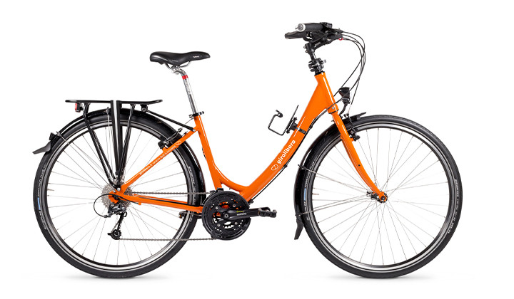 Bicicletta da turismo a noleggio