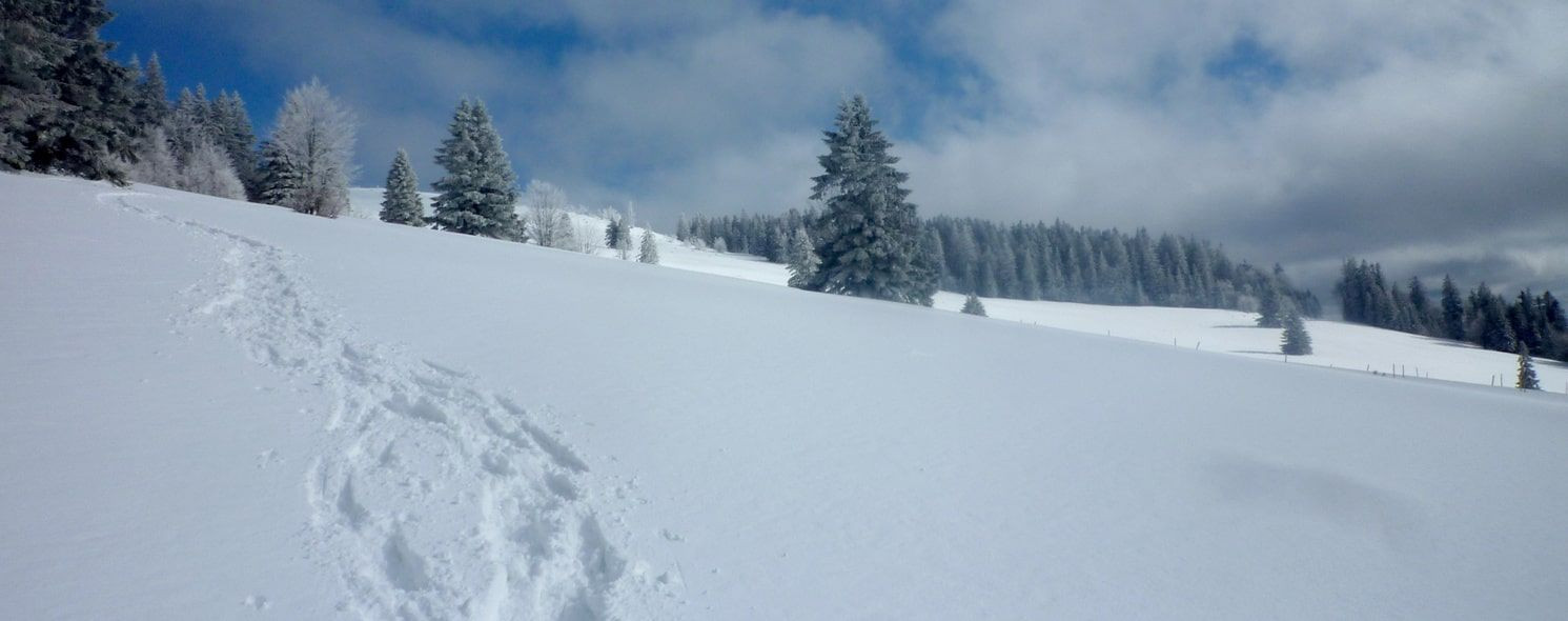 Tracce di ciaspole nella neve della Foresta Nera