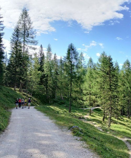 Sentier du refuge Dibona - Dolomites - Italie