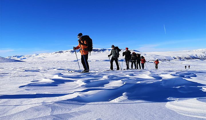 Traversata con gli sci nordici in fila - Hardangervidda - Norvegia