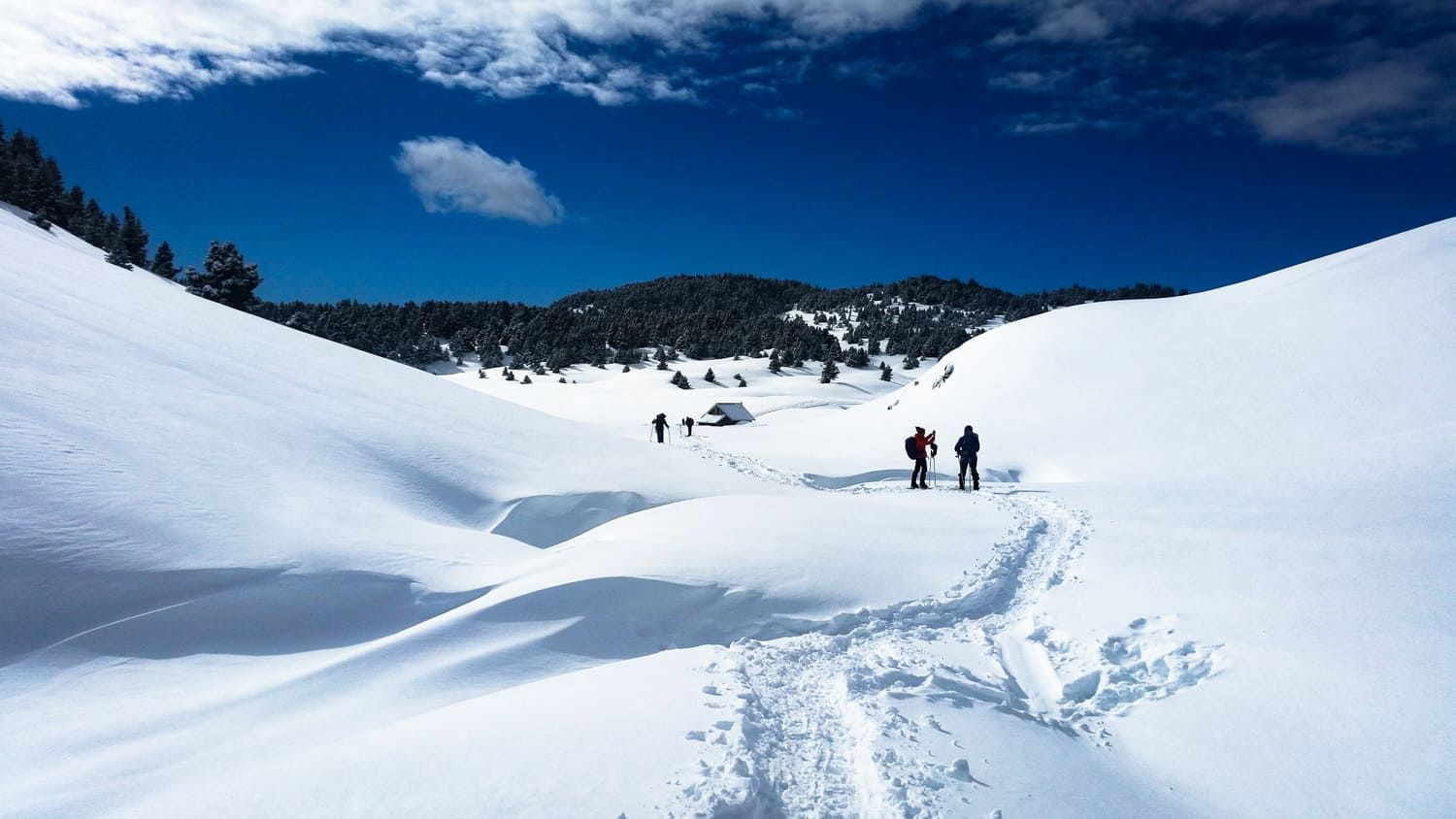Escursionisti con le ciaspole sulla neve - Vercors - Francia