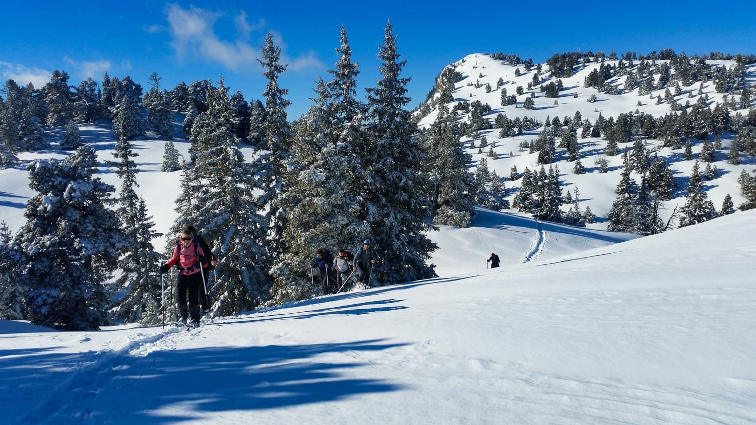 Escursione con le racchette da neve sugli altopiani innevati - Vercors - Francia