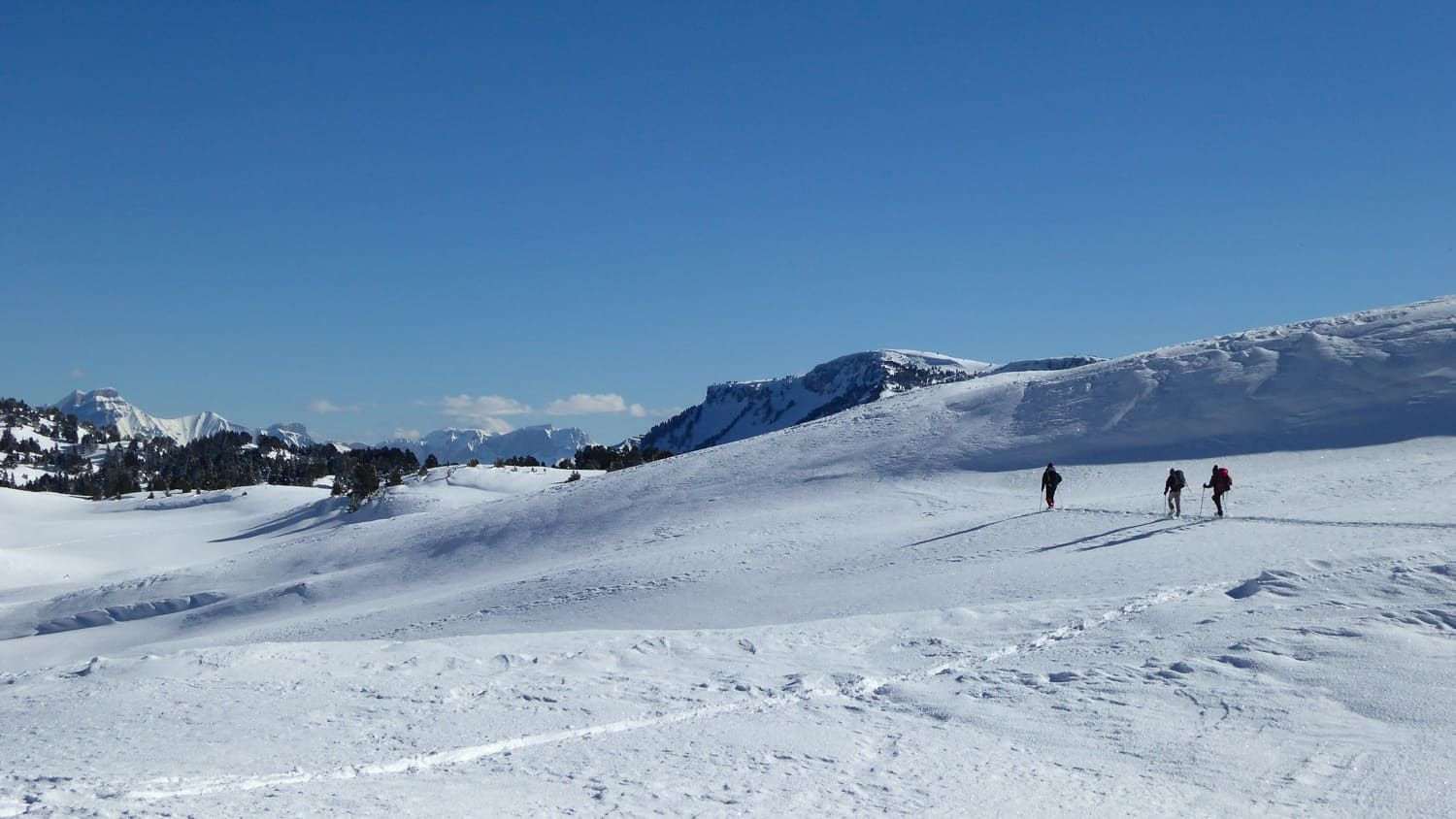 Escursionisti con le ciaspole sugli altopiani innevati - Vercors - Francia