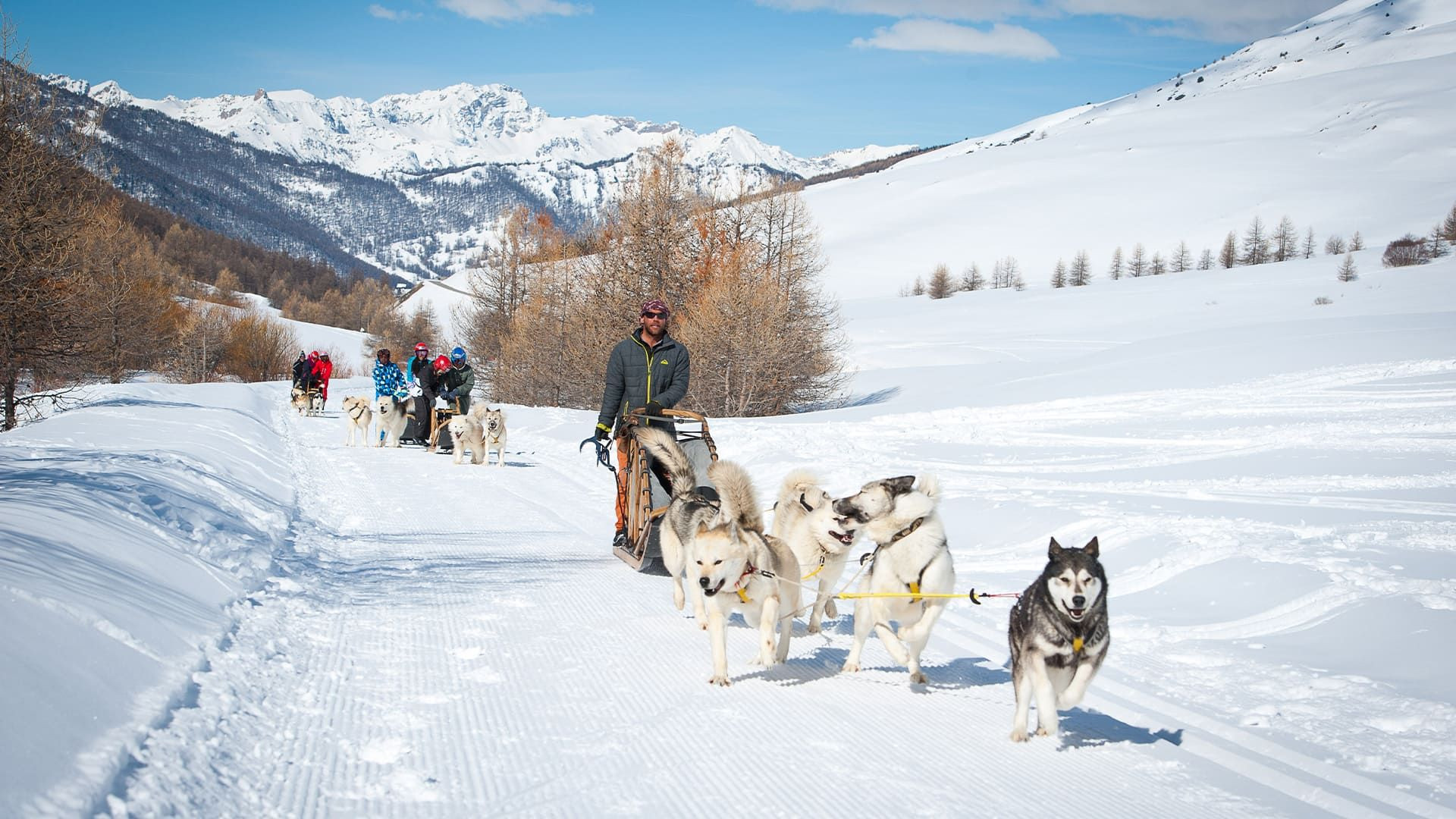 Escursione con slitta trainata da cani sulla neve - Queyras - Alte Alpi - Francia