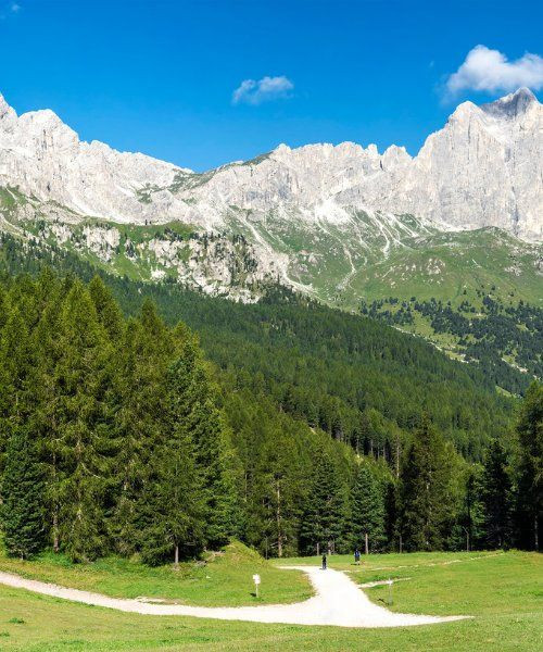Vallon de Vajolet - Dolomites - Italie