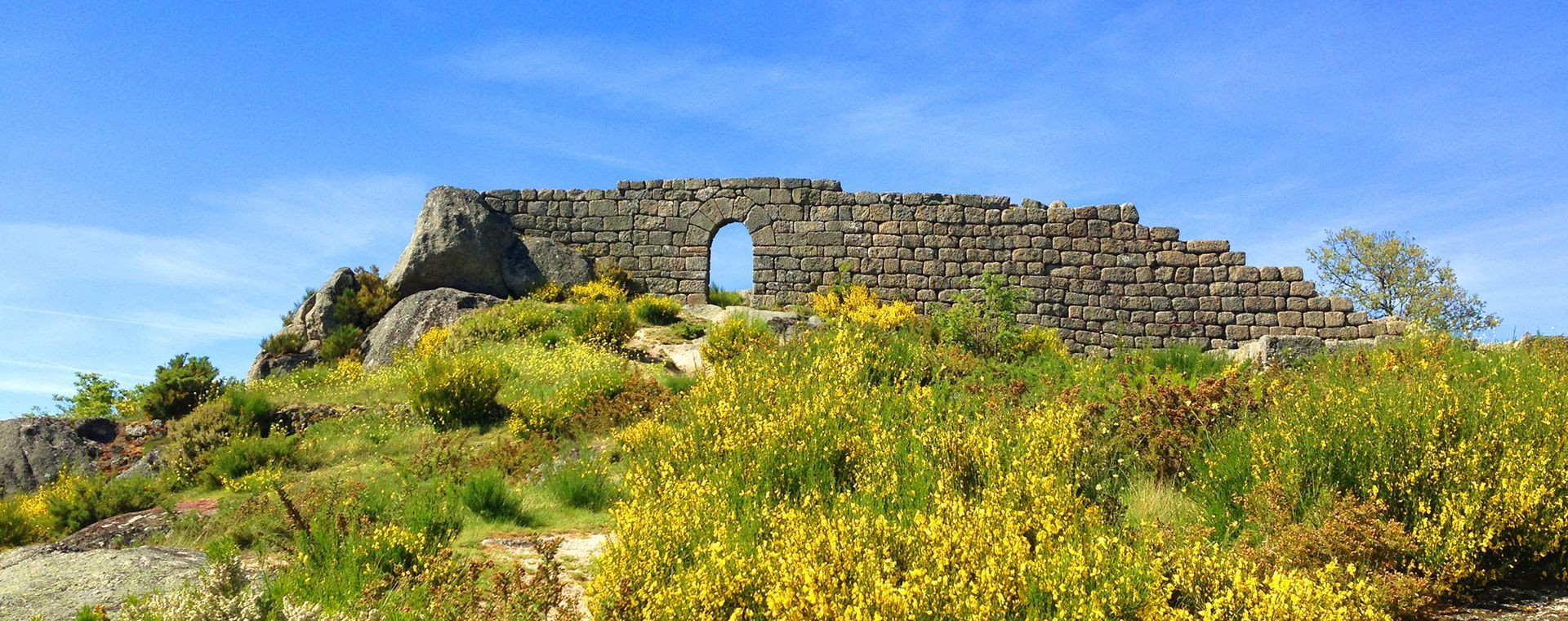 Valle del Douro - Portogallo