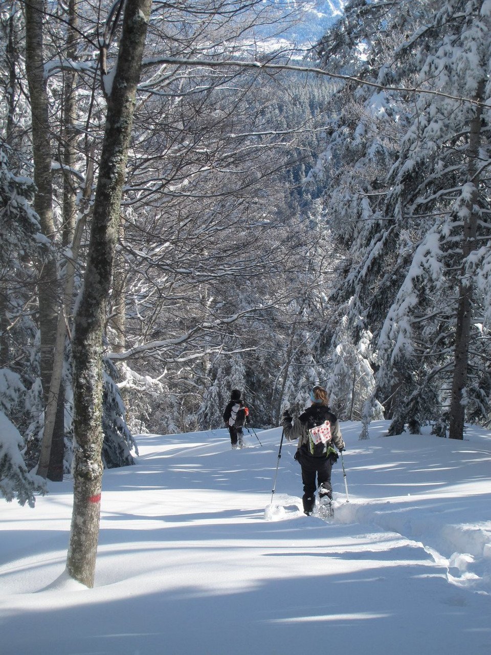 Viaggi sulla neve 2027: trekking, ciaspole e sci – Tour organizzati nel cuore dell’Europa