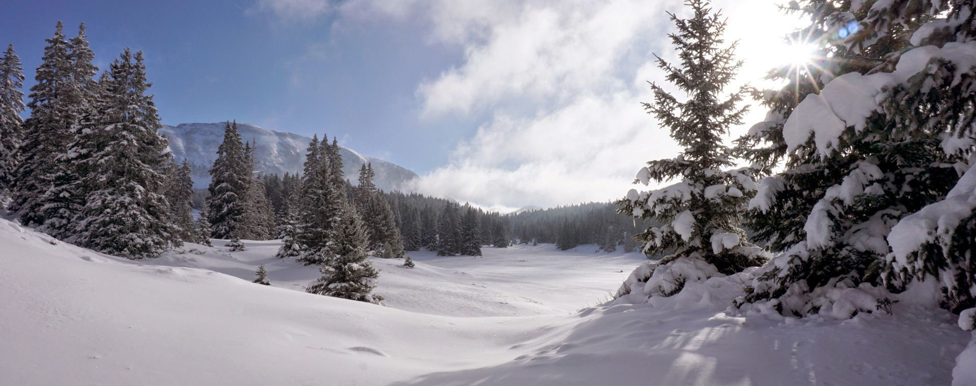 Riserva degli Altipiani del Vercors in inverno - Vercors - Francia
