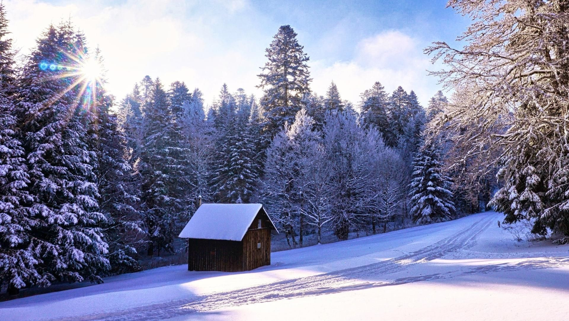 Rifugio di legno e foresta innevata sotto il sole - Vercors - Francia
