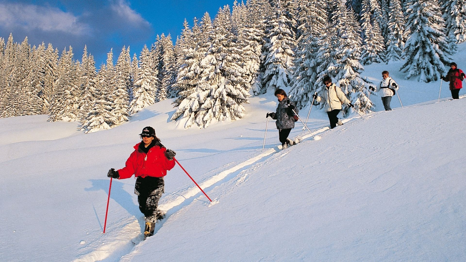 © Grand Angle Gruppo con le racchette da neve tra la neve e gli abeti innevati - Vercors - Francia