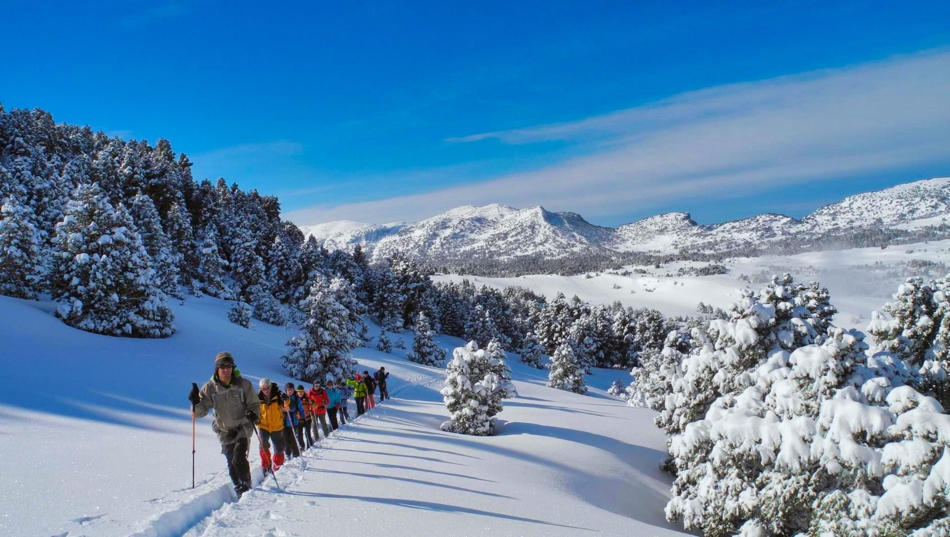 Gruppo con le ciaspole nelle foreste innevate del Vercors - Alpi - Francia