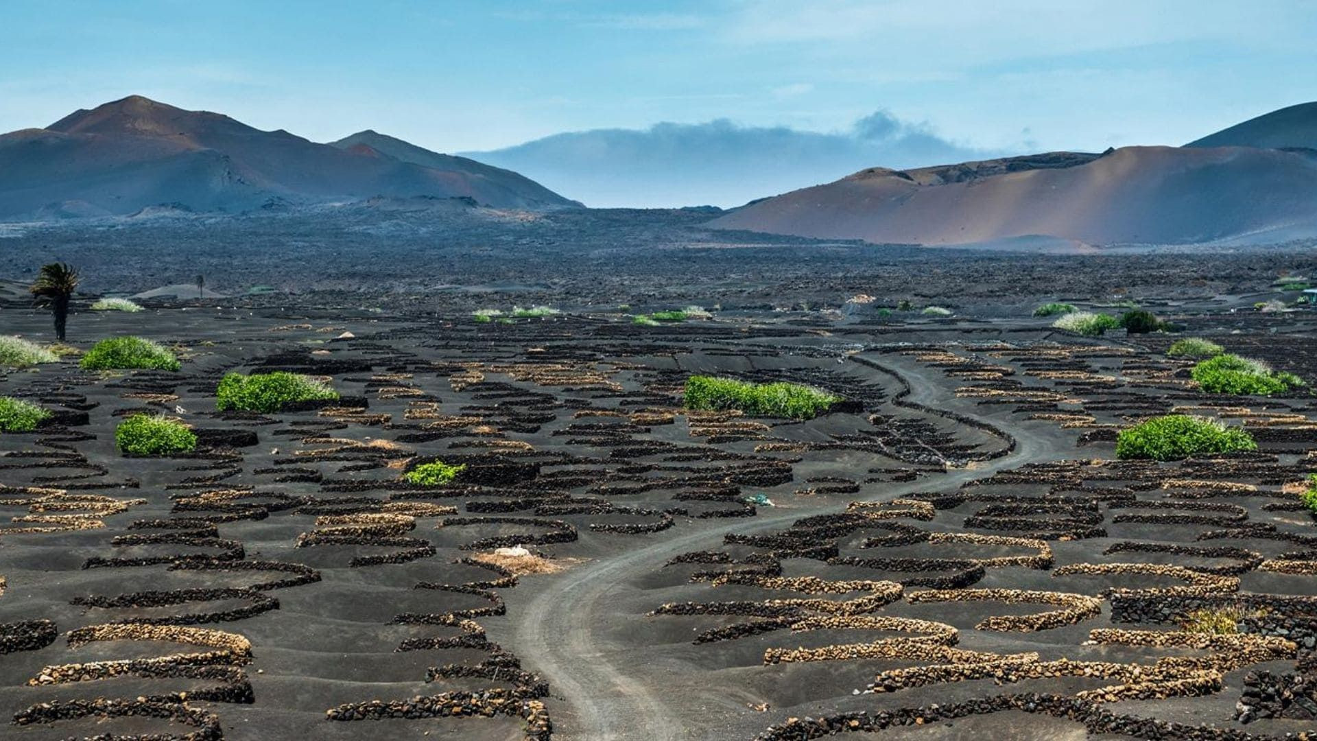 Vigneti vulcanici di La Geria - Lanzarote - Canarie - Spagna
