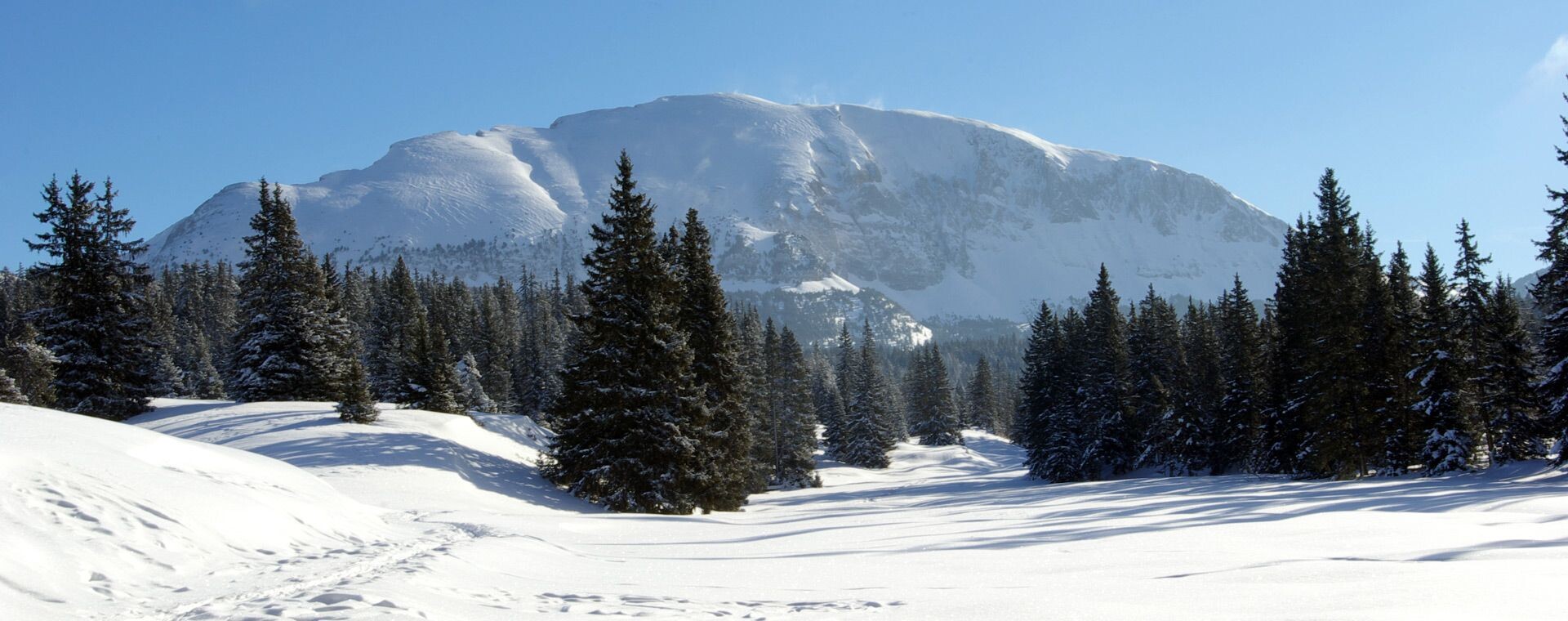 Il Grand Veymont innevato in inverno - Altopiani del Vercors - Alpi - Francia