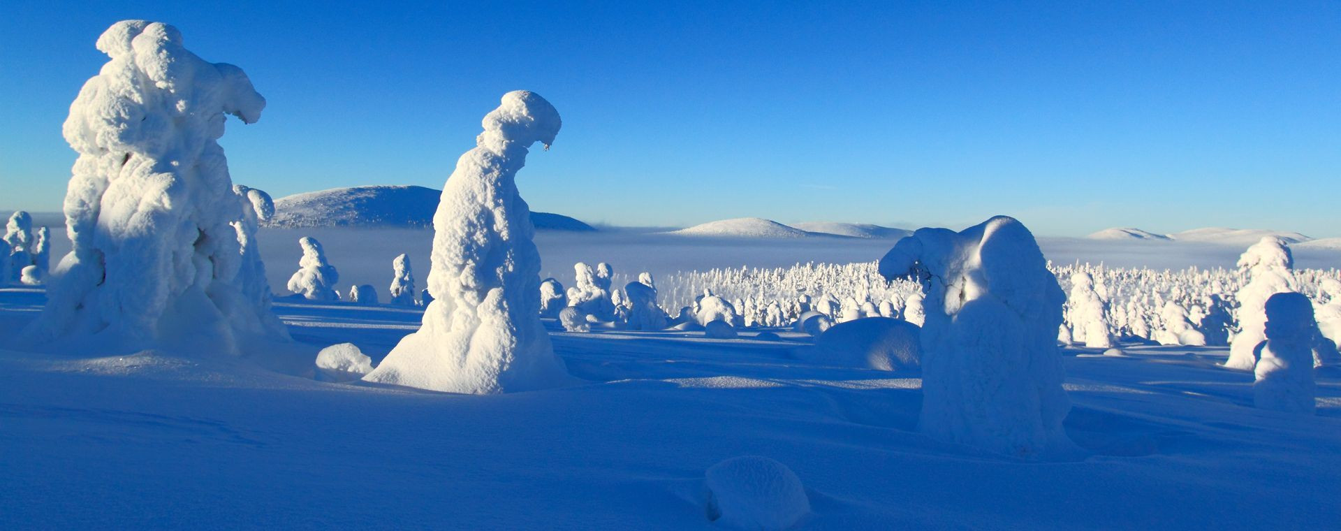 Paesaggio innevato nel nord in inverno - Finlandia