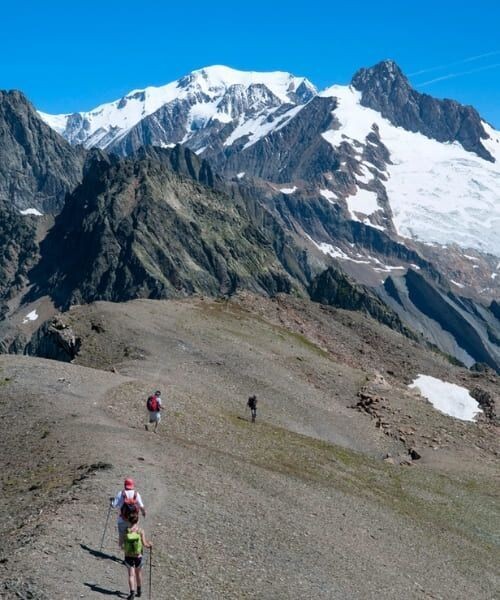 Point de vue sur l'Aiguille des Glaciers et le Mont-Blanc - Tour du Mont-Blanc - Alpes