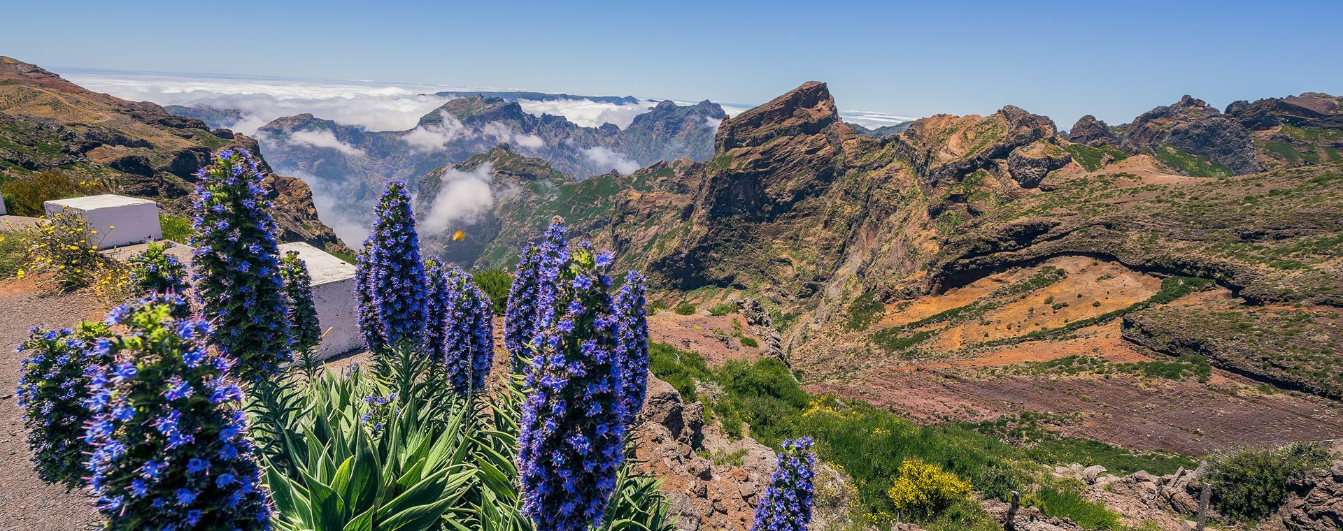 Vista sul Pico do Arieiro, terza vetta dell’isola di Madeira - Portogallo