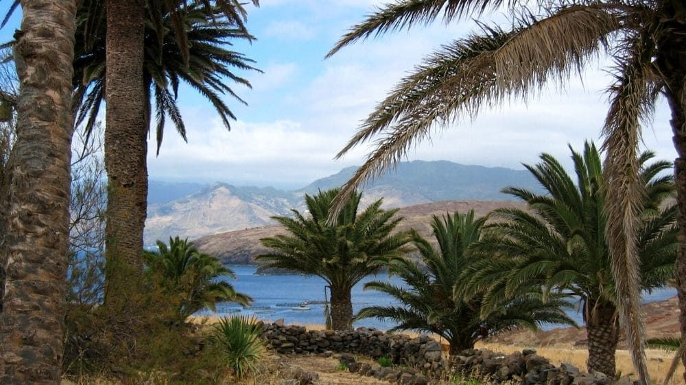 Palme, mare e montagne - Madeira - Portogallo