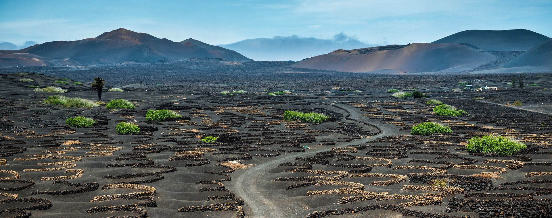 Vigneti vulcanici di La Geria di fronte ai vulcani - Lanzarote - Canarie - Spagna
