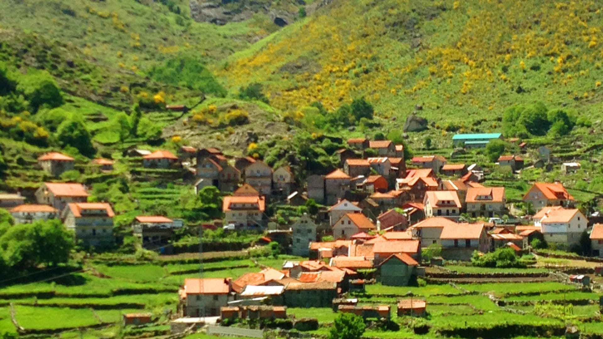 Villaggio con tetti di tegole sul fianco della montagna - Castro Laboreiro - Portogallo