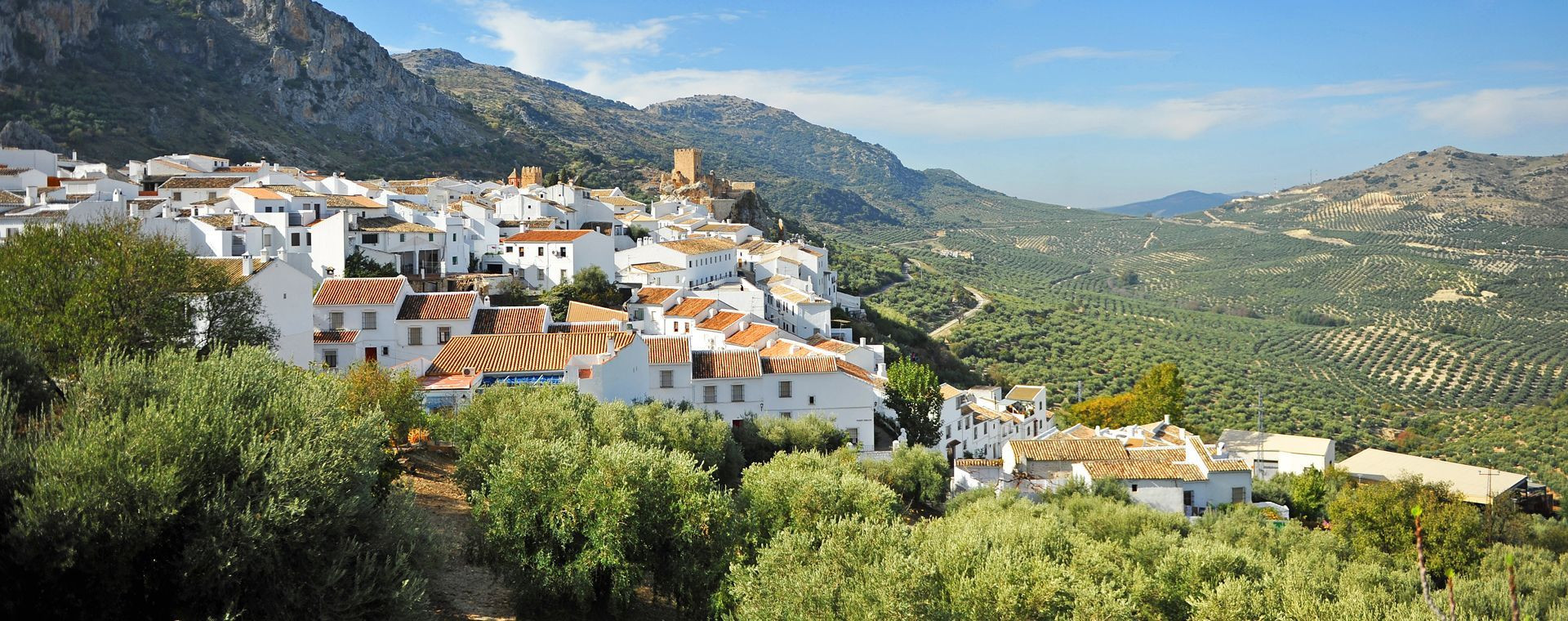 Villaggio bianco di Zuheros e oliveti - Andalusia - Spagna