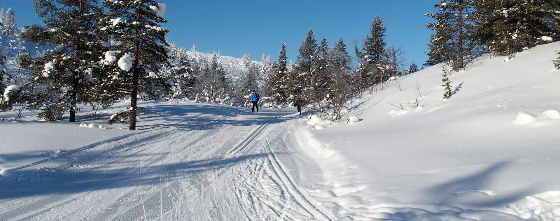 Fondista su pista nel bosco - Saariselkä - Lapponia - Finlandia