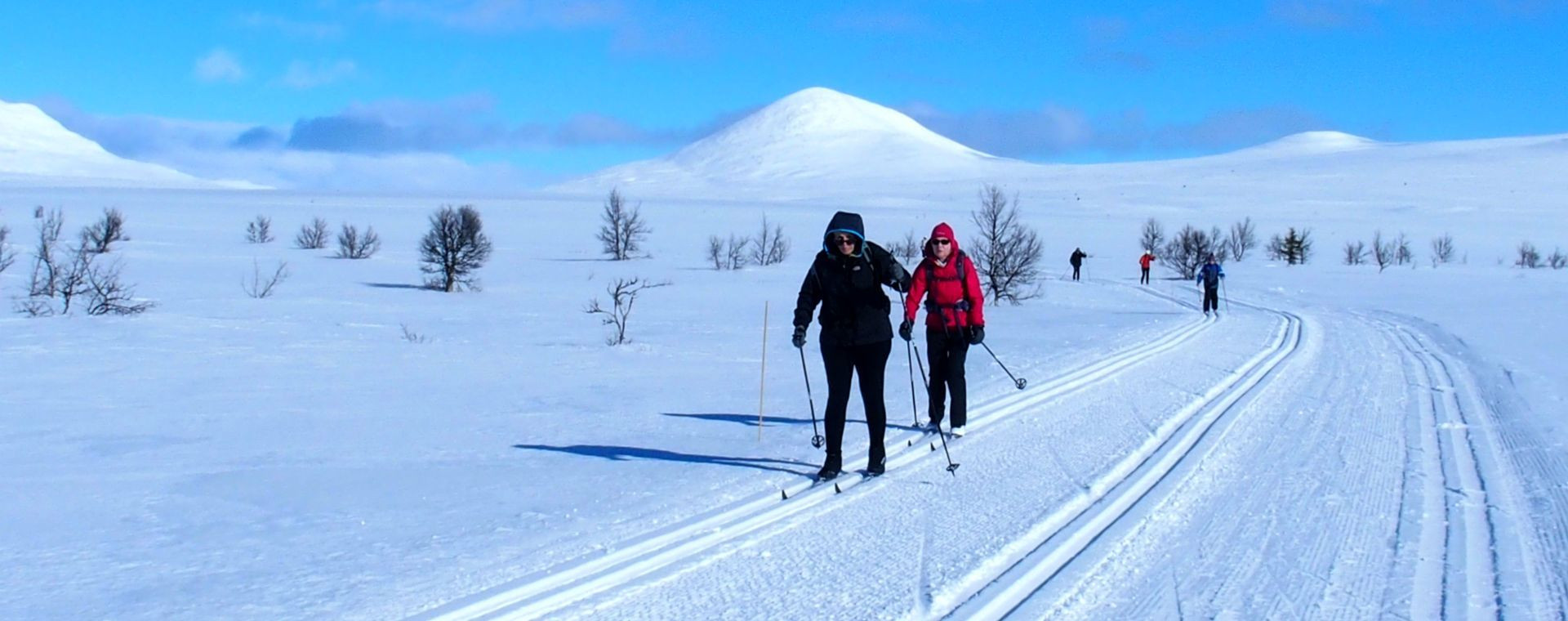 Viaggio sugli sci di fondo a Venabu - Scandinavia - Norvegia