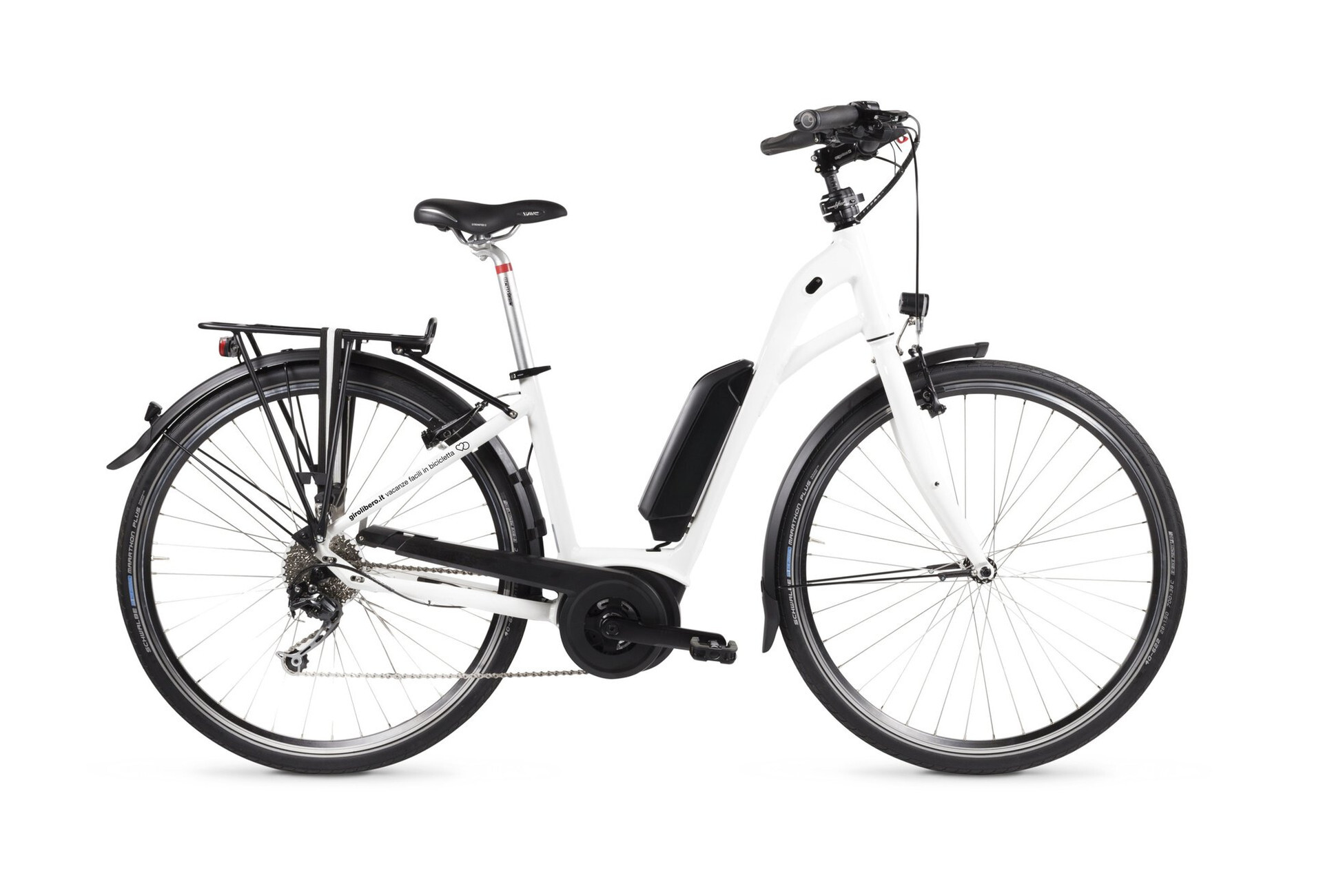 Bicicletta elettrica