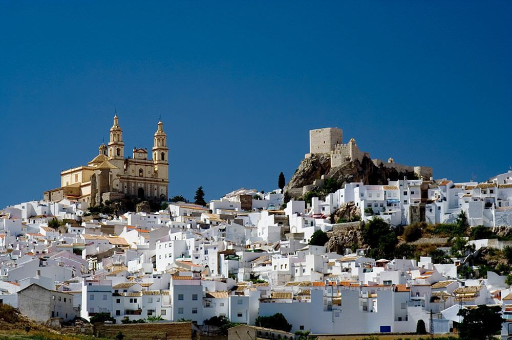 Villaggio bianco di Olvera - Andalusia - Spagna