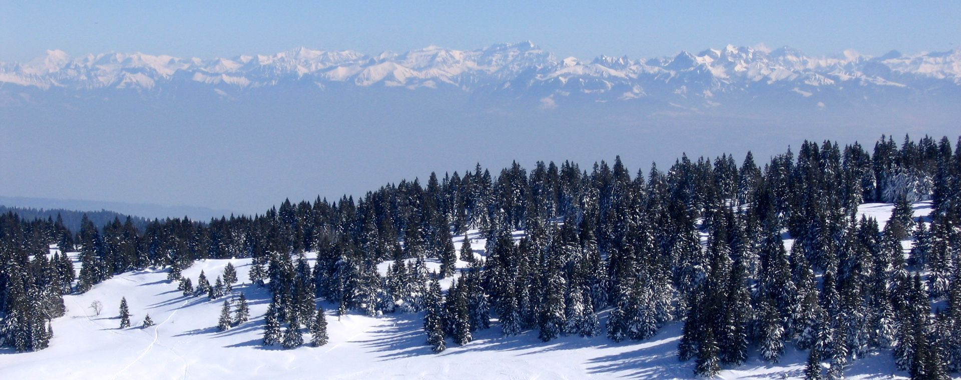 Foresta innevata di fronte alle Alpi - Giura franco-svizzero