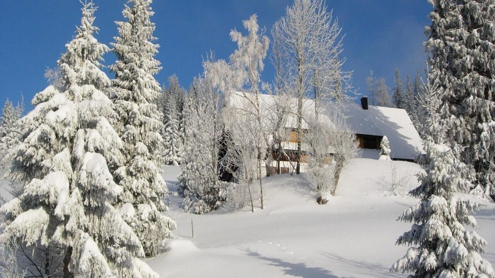 Paesaggio invernale - Foresta Nera - Germania