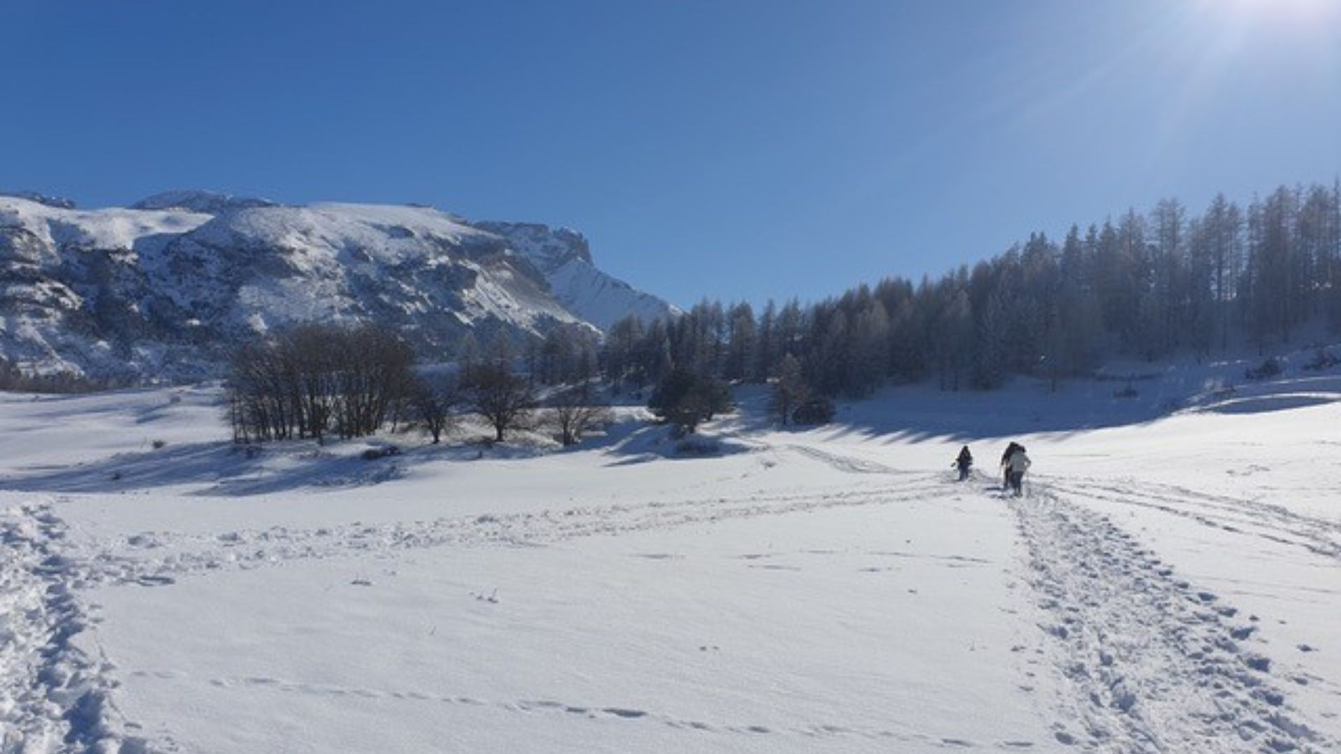 Paesaggio invernale nel Dévoluy - Alte Alpi - Francia
