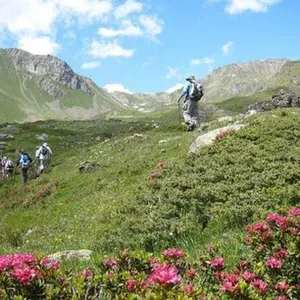 Giro del Gran Paradiso