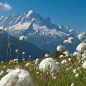 Tour del Monte Bianco, l’itinerario integrale