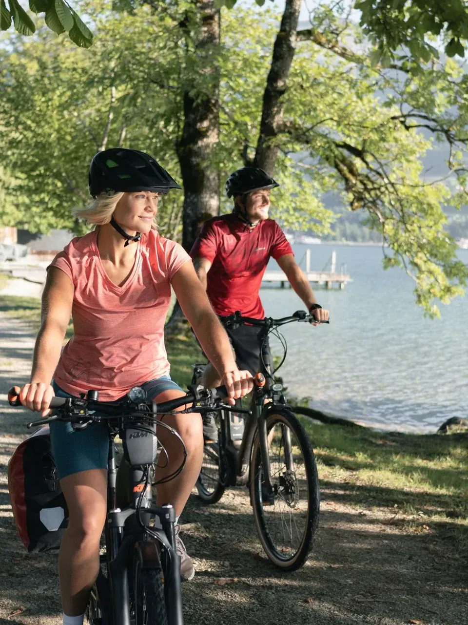La bicicletta
