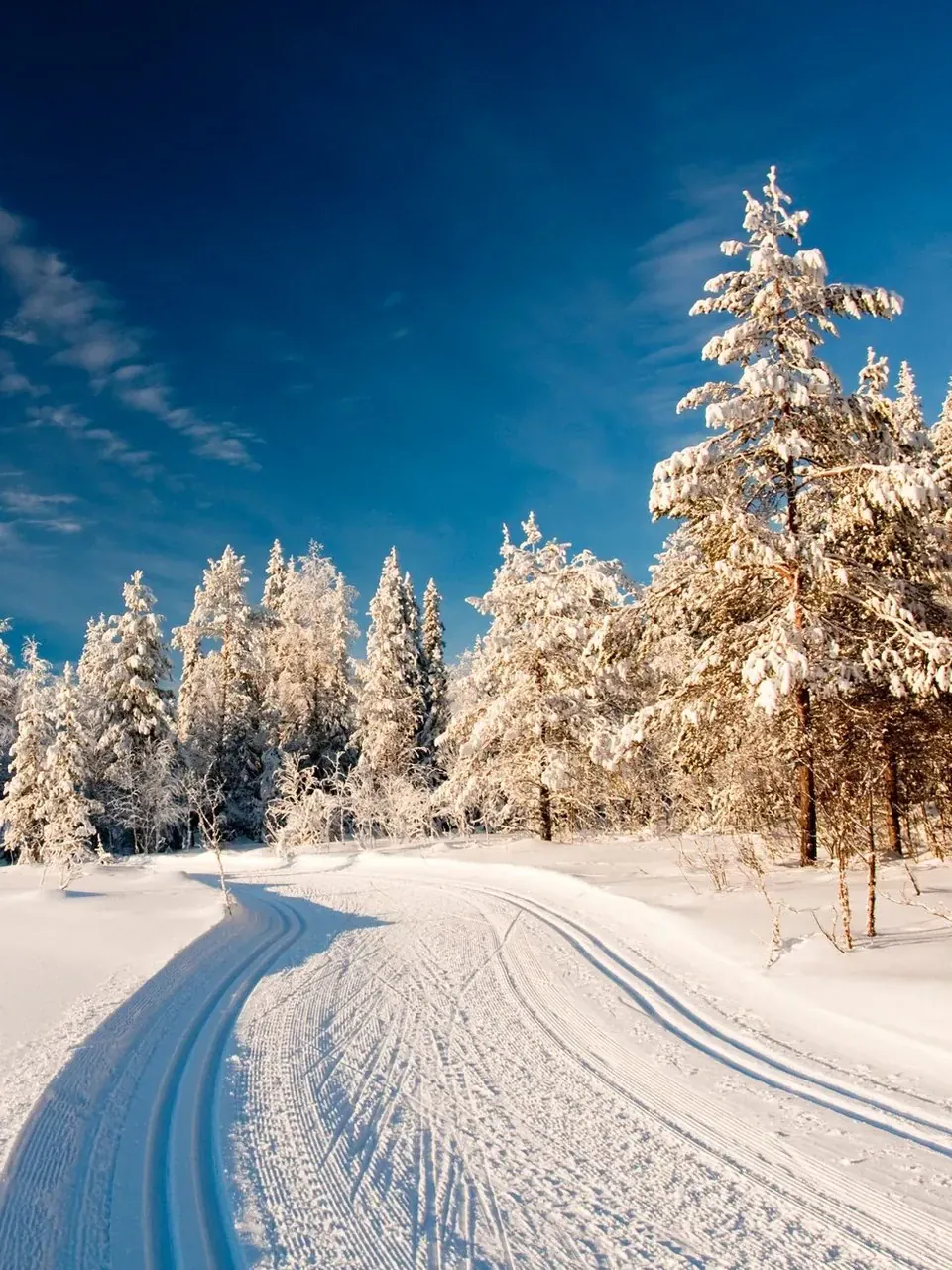 L’inverno